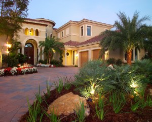 The Roots Of Artistree Landscape Design, Artistree Landscape Maintenance & Design Venice Fl