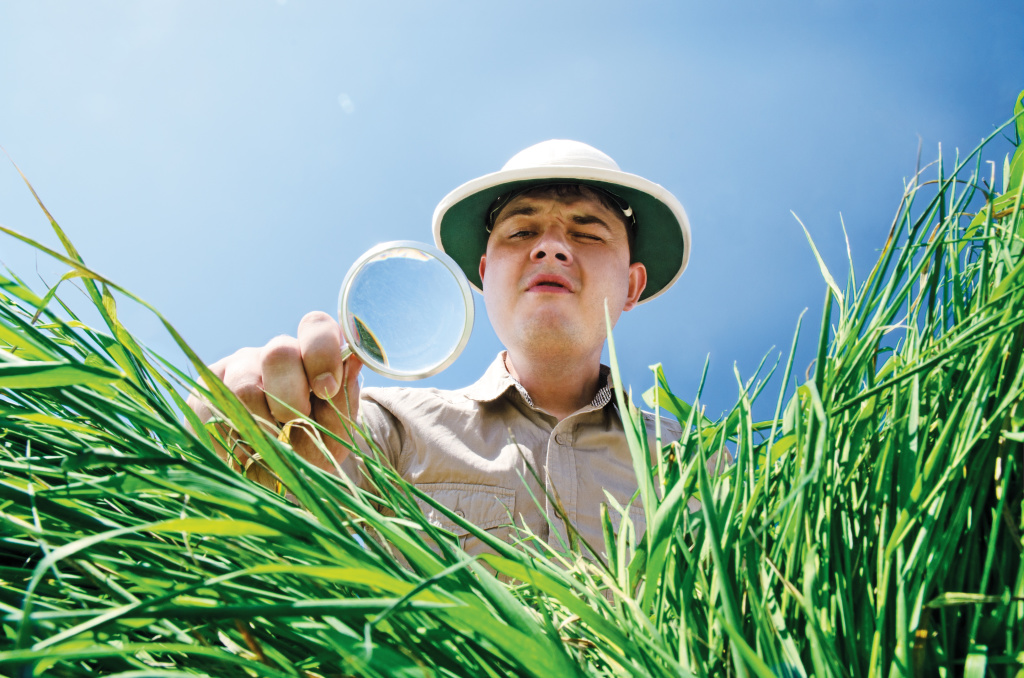 guy inspecting grass with magnifying glass