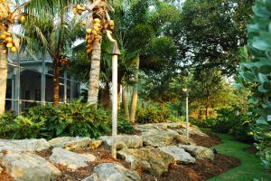 Florida landscape boulders help prevent soil erosion