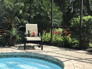 Lanai and pool landscaping with pygmy palms and foxtail fern