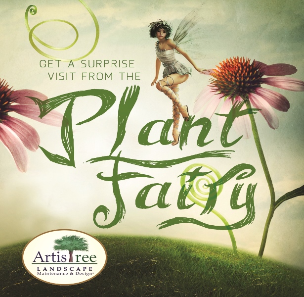 Plant Fairy flyer